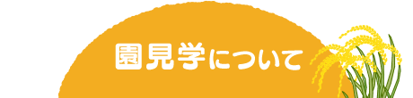 園見学について